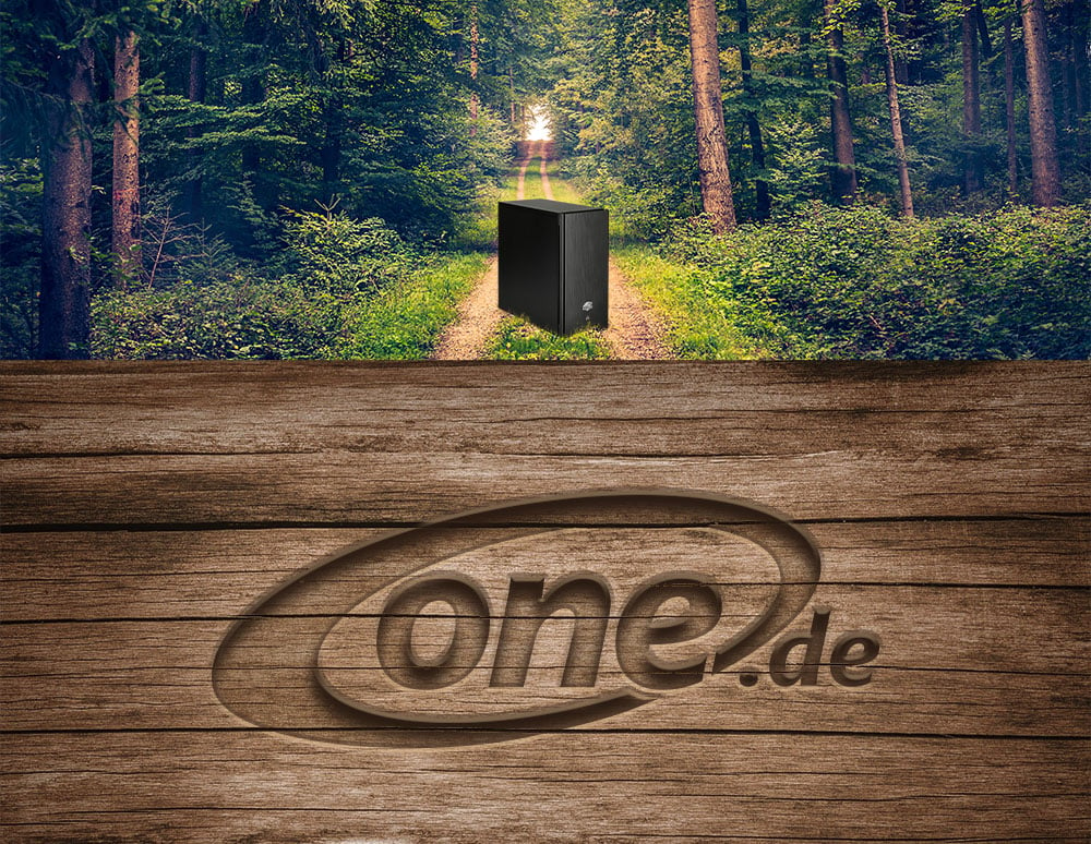 ONE.de Logo in Natur Optik