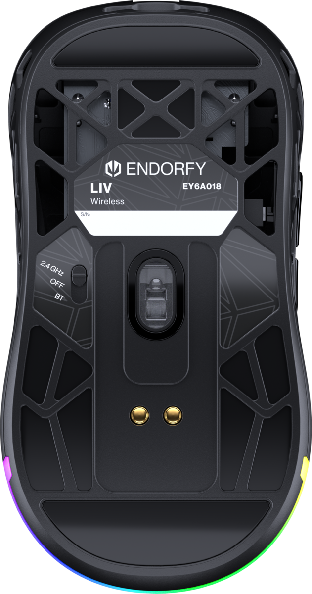 ENDORFY LIV Wireless, Bild 8 (25.11.2025)