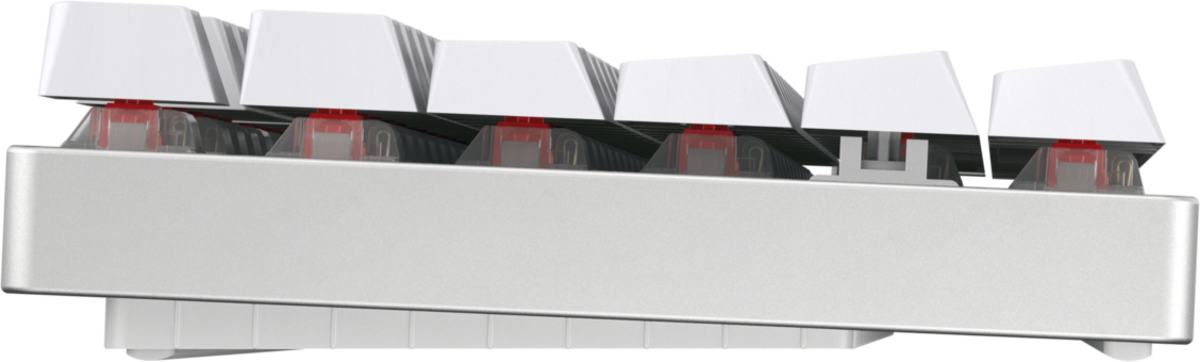 Cherry MX 8.2 TKL Wireless, Bild 4 (02.12.2025)