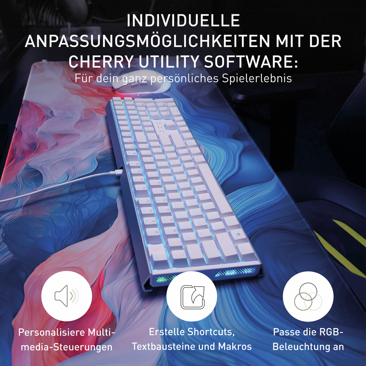 Cherry XTRFY MX 3.1, Bild 4 (02.12.2025)