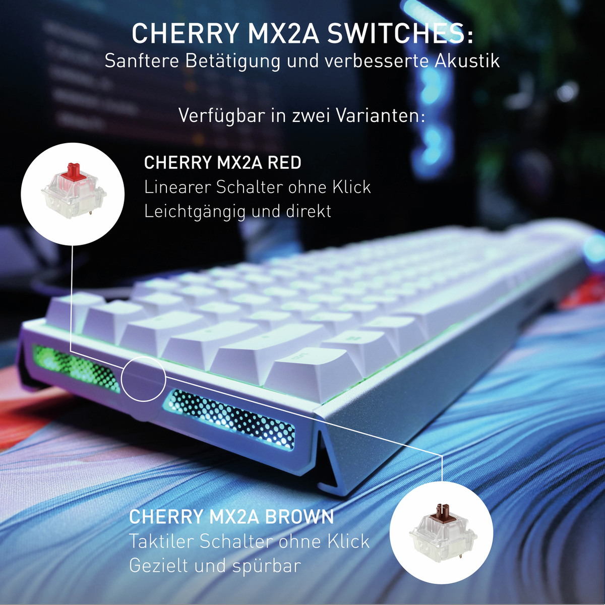 Cherry XTRFY MX 3.1, Bild 2 (02.12.2025)