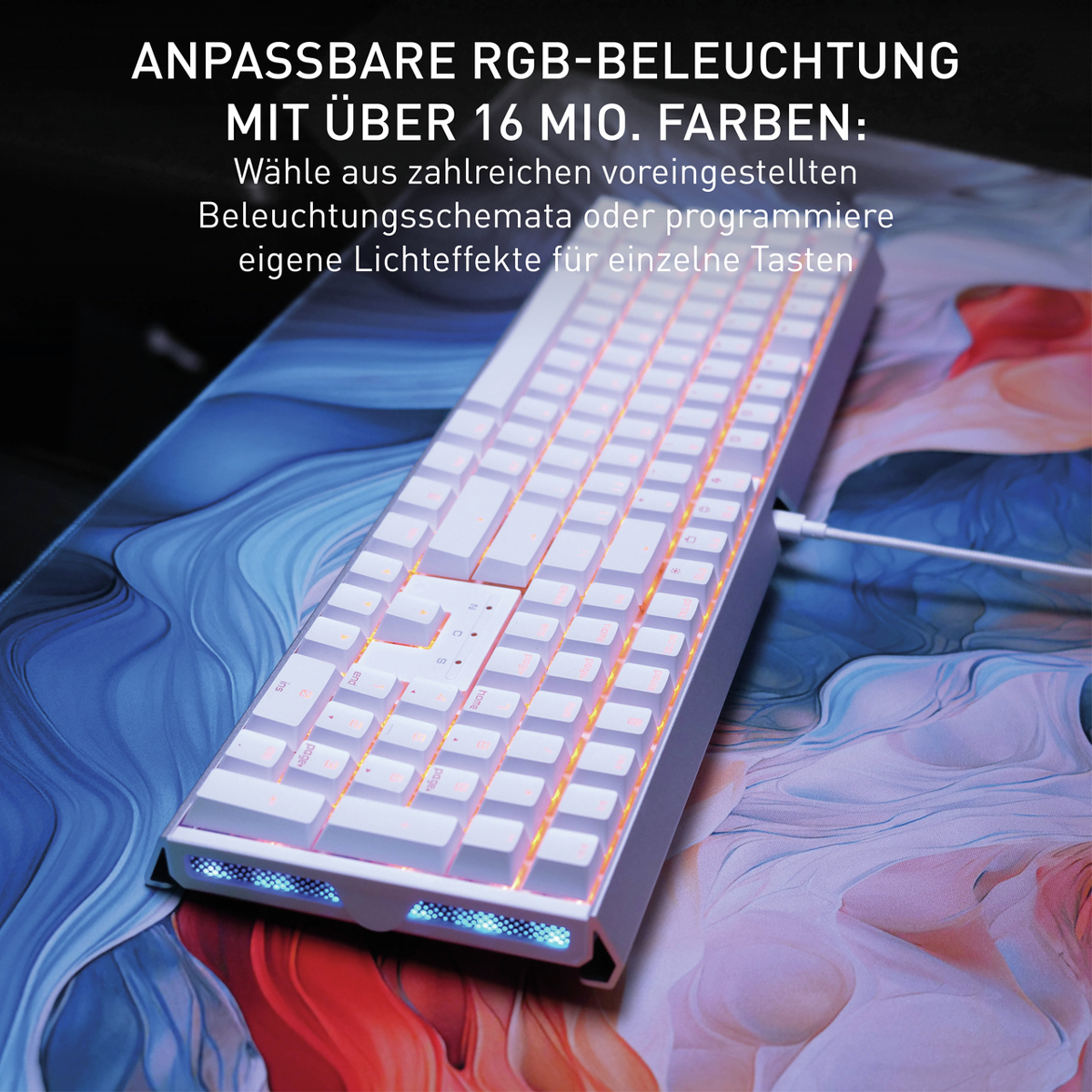 Cherry XTRFY MX 3.1, Bild 5 (02.12.2025)
