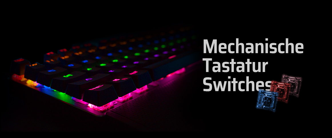 Mechanische Tastatur - Header Mechanische Tastatur - Header