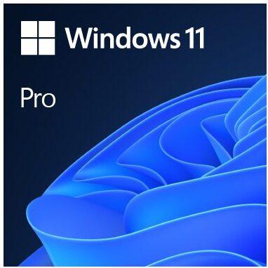  Microsoft Windows 11 Pro 64 Bit OEM SB bei ONE.de kaufen 