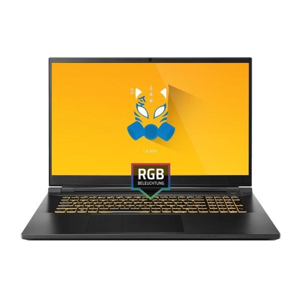  ONE GAMING Carry K73-13NB-SN2 - Gaming Laptop online kaufen