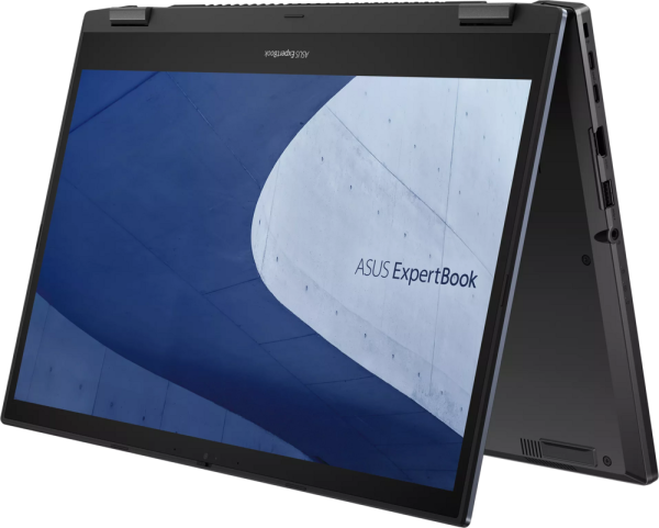  ASUS ExpertBook B2 Flip B2502FBA-N80238X online kaufen 