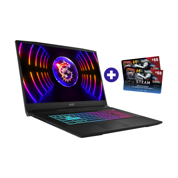  MSI Katana 17 B13VFK-069 - Gaming Laptop online kaufen 